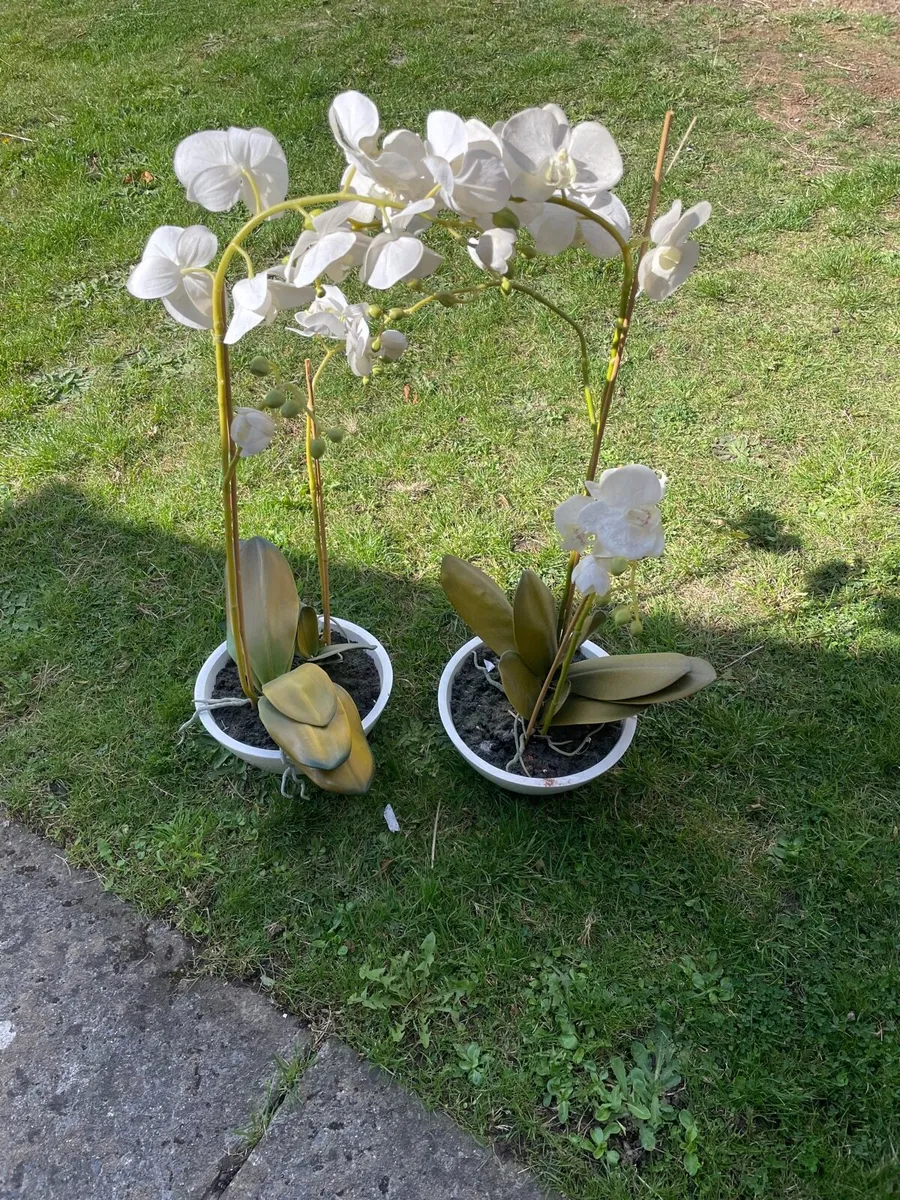 2 large fake plant orchid - Image 2