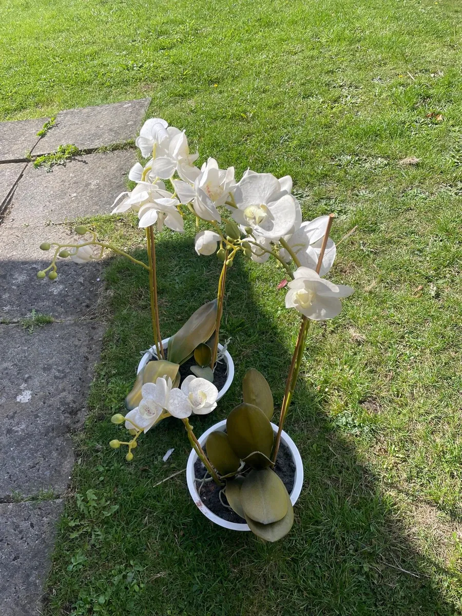 2 large fake plant orchid - Image 3