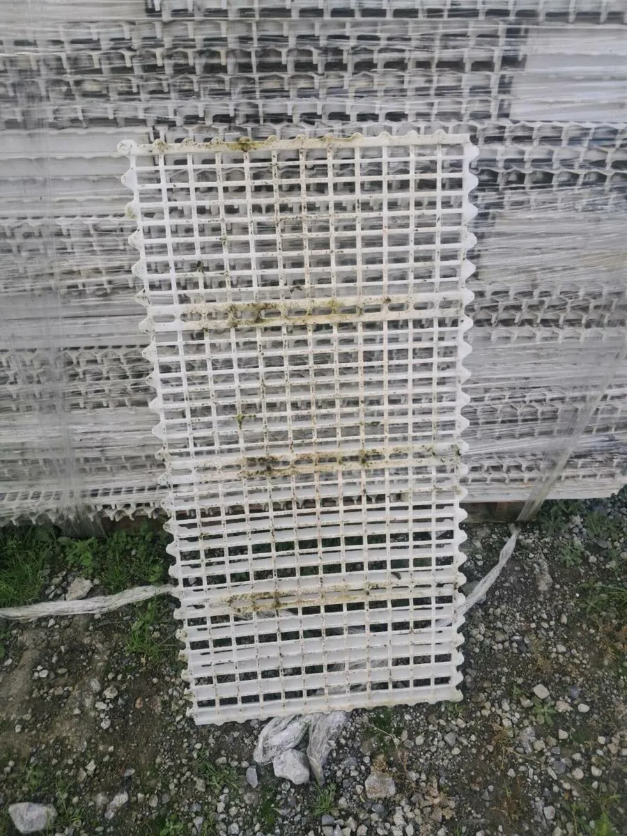 Poultry slats + motors - Image 3