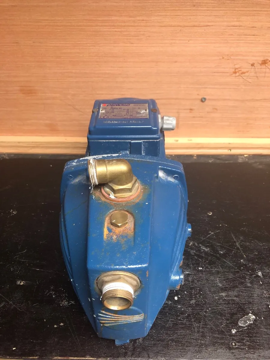Pedrollo Water Pump & Renault power Steering Pump - Image 2
