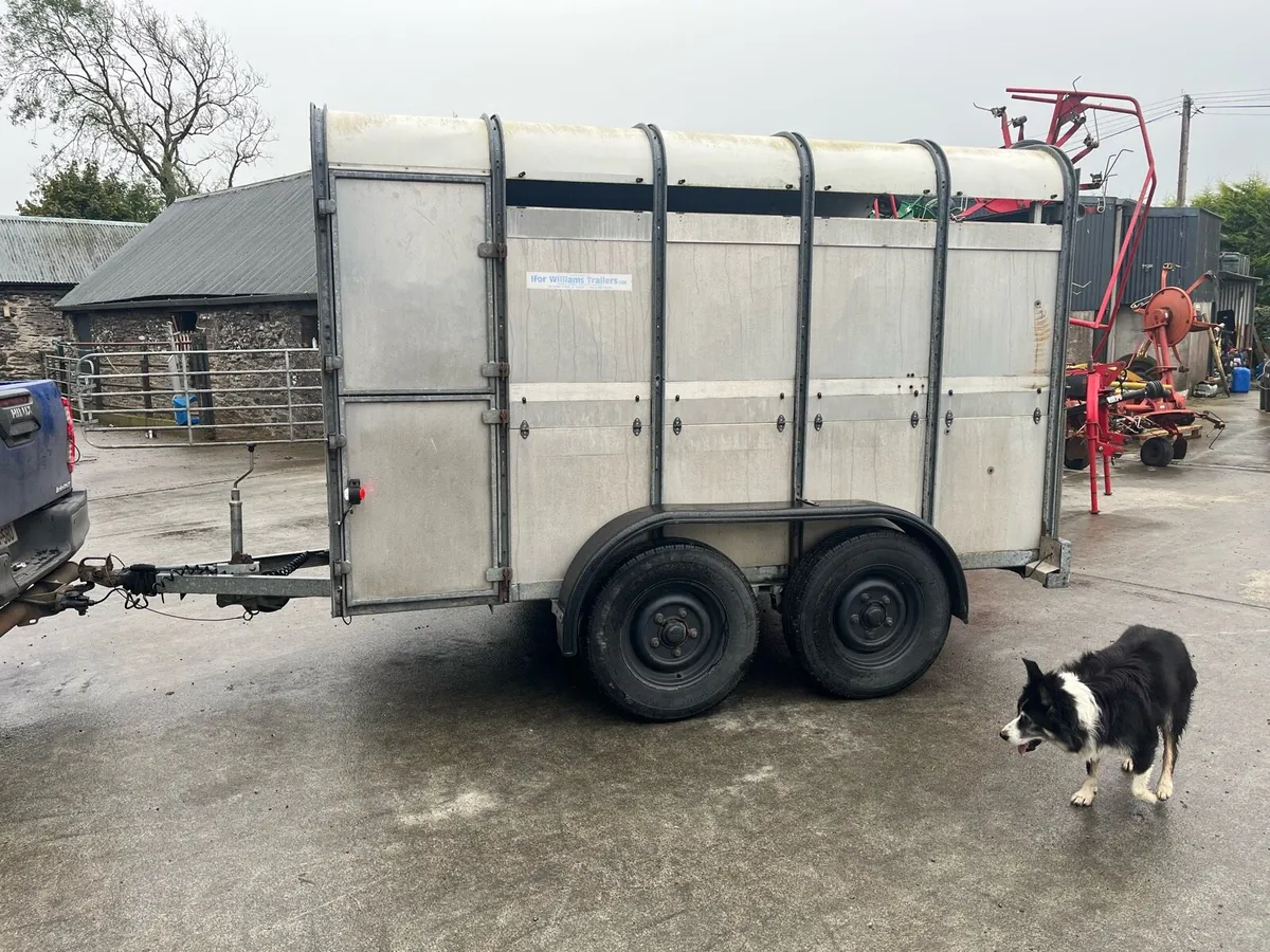 Ifor Williams Cattle Trailer - Image 2