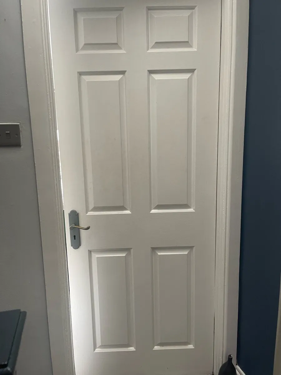 3 Panel Doors with two locks - Image 1