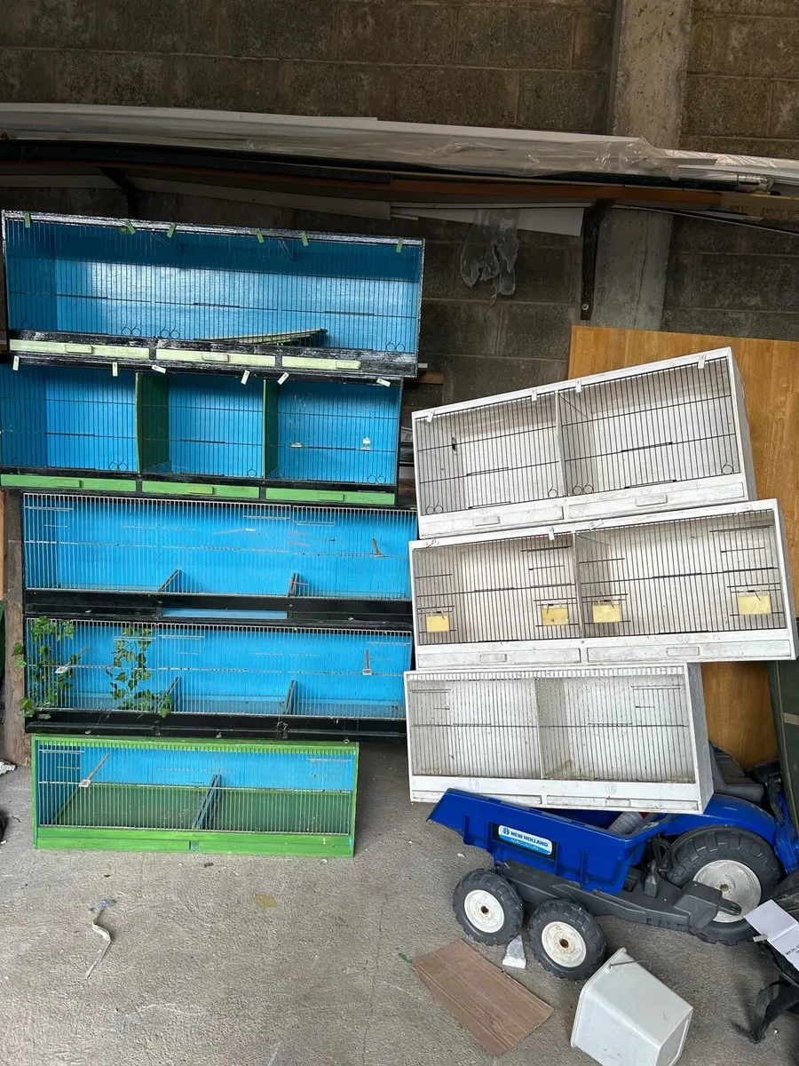 Bird cages