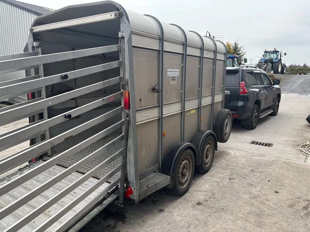 10x5 Ifor Williams with Sheep Decks - Image 2