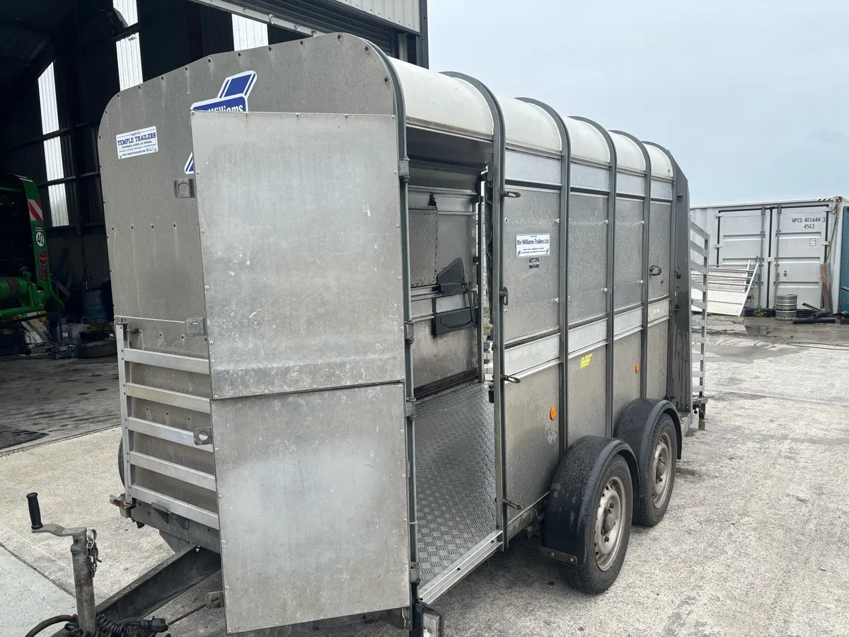 10x5 Ifor Williams with Sheep Decks - Image 3