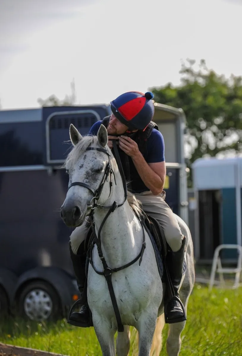 Connemara gelding 🌟🌟 - Image 3