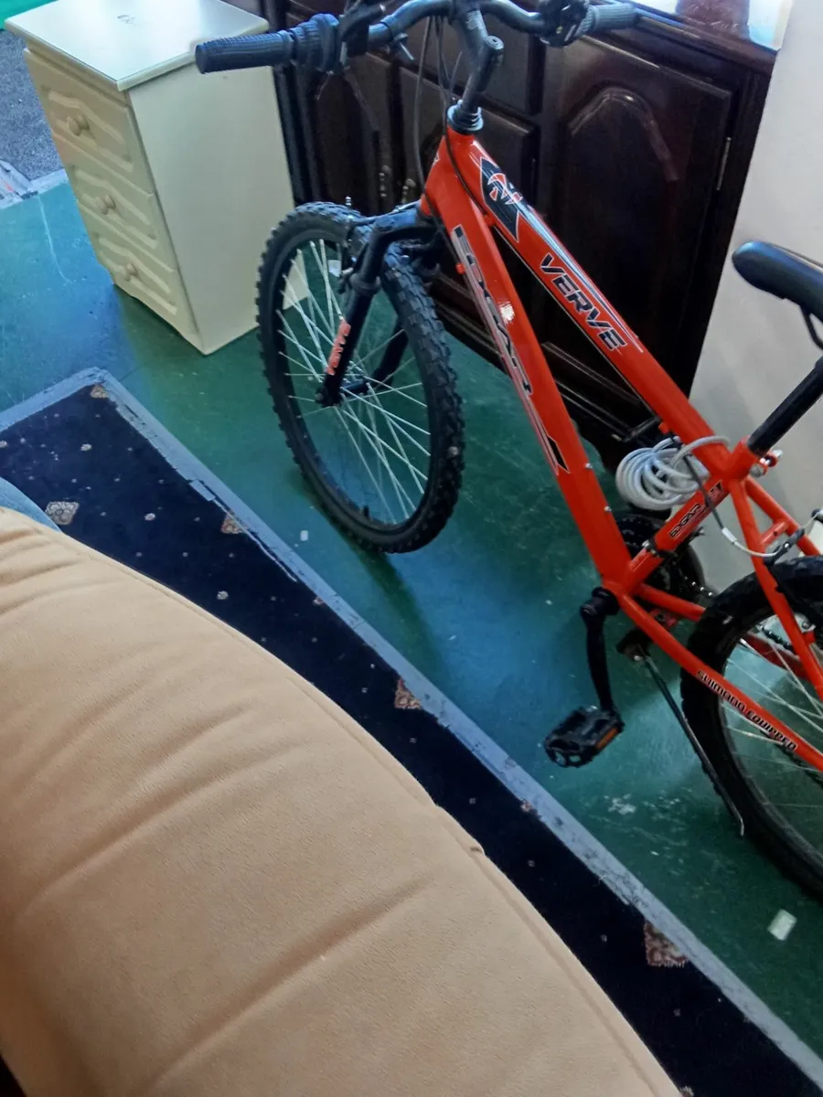 Kidss bicycle mint condition everything working pe - Image 3