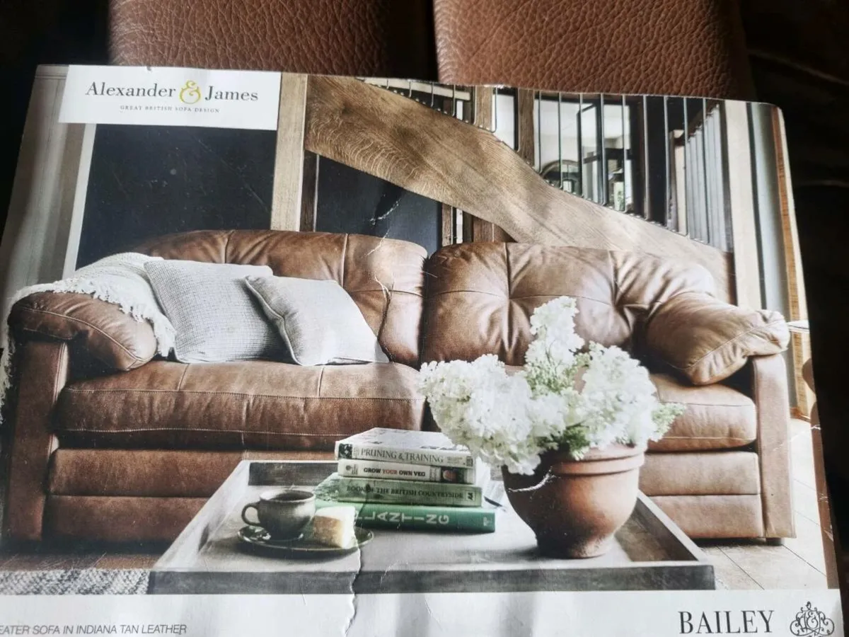 Alexander and James leather suite - Image 2