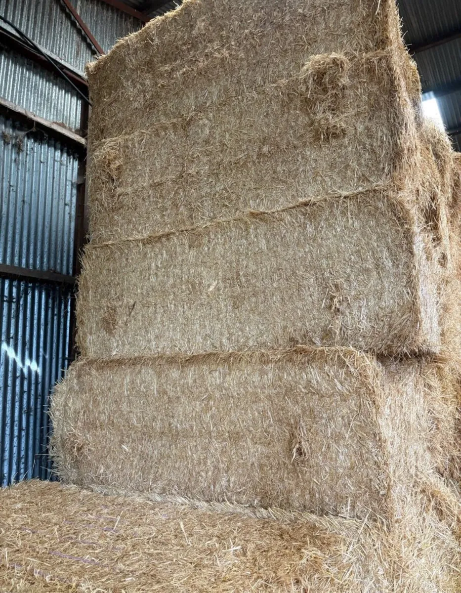 ENGLISH CHOPPED BARLEY STRAW - Image 2