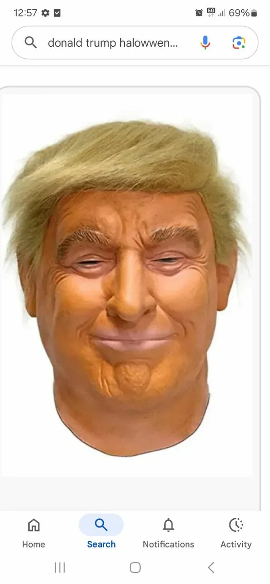 Halloween Donald Trump costume.