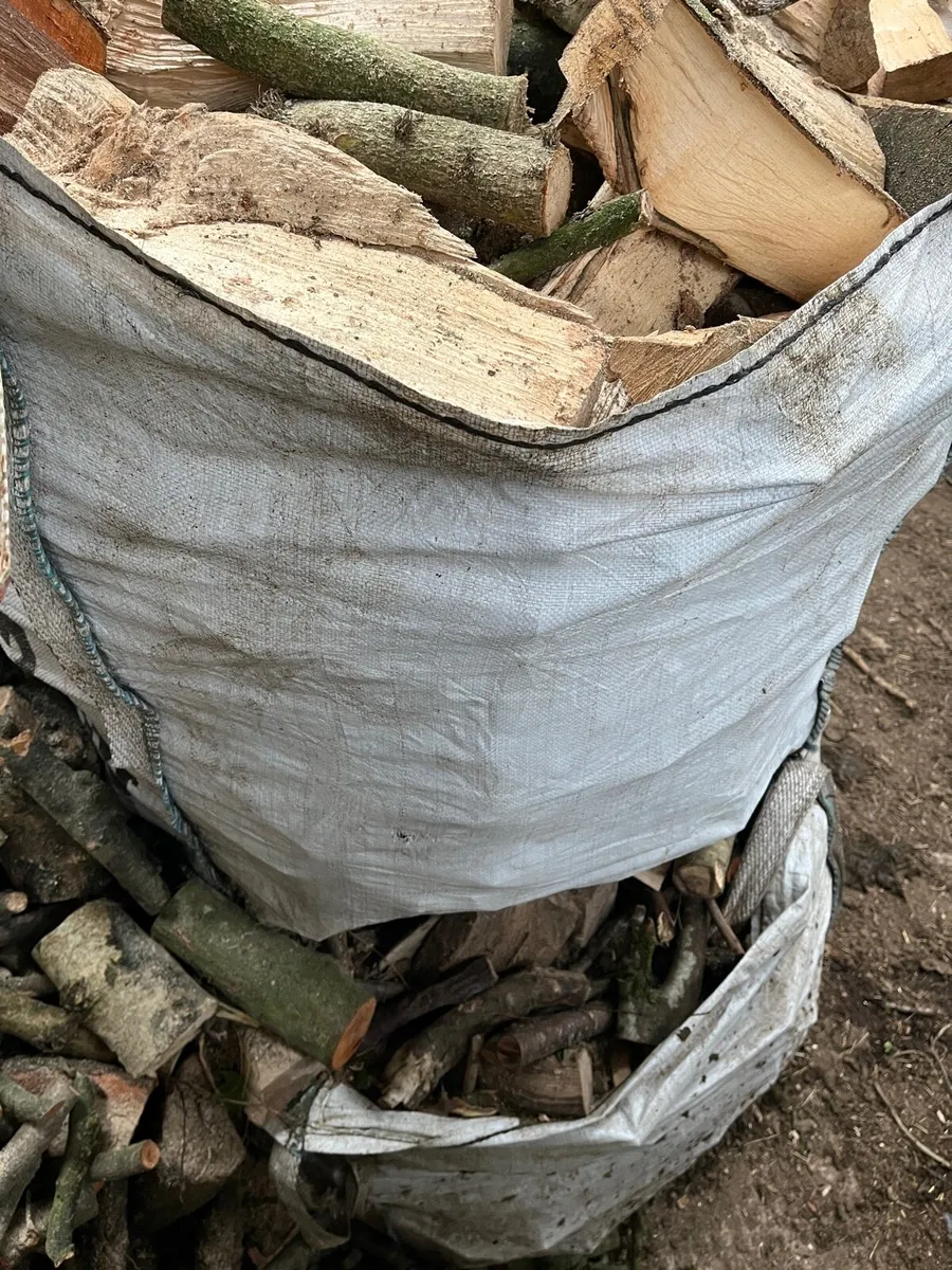 hard wood logs - Image 4