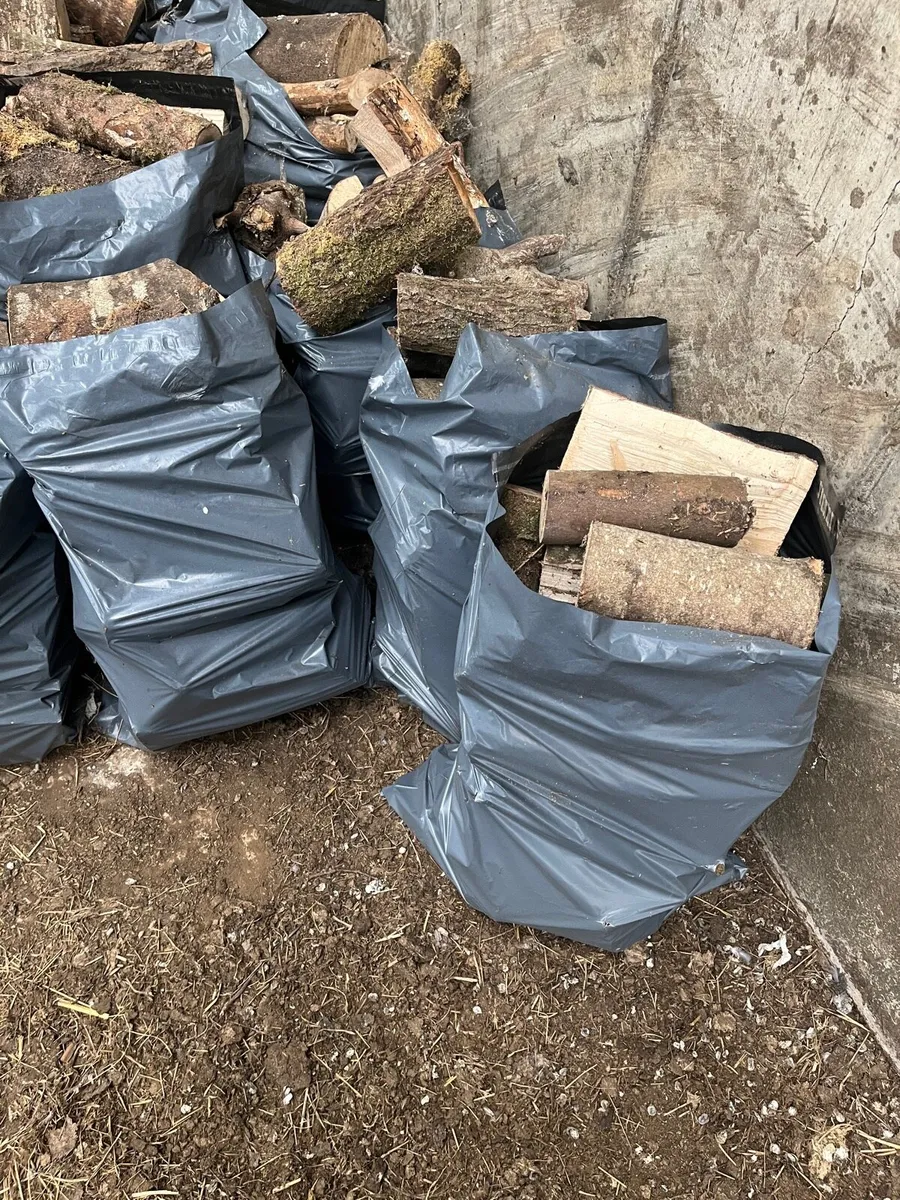 hard wood logs - Image 1