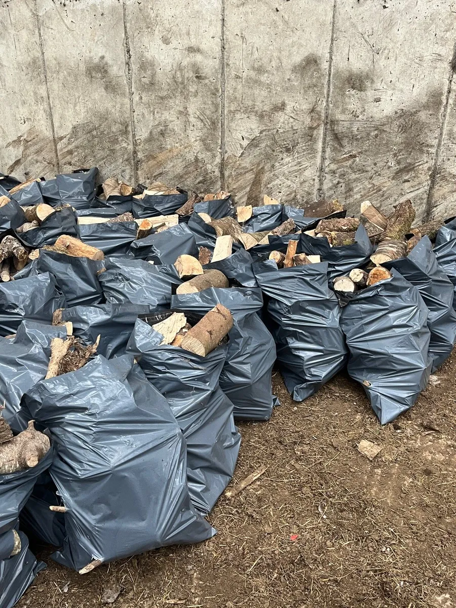 hard wood logs - Image 2
