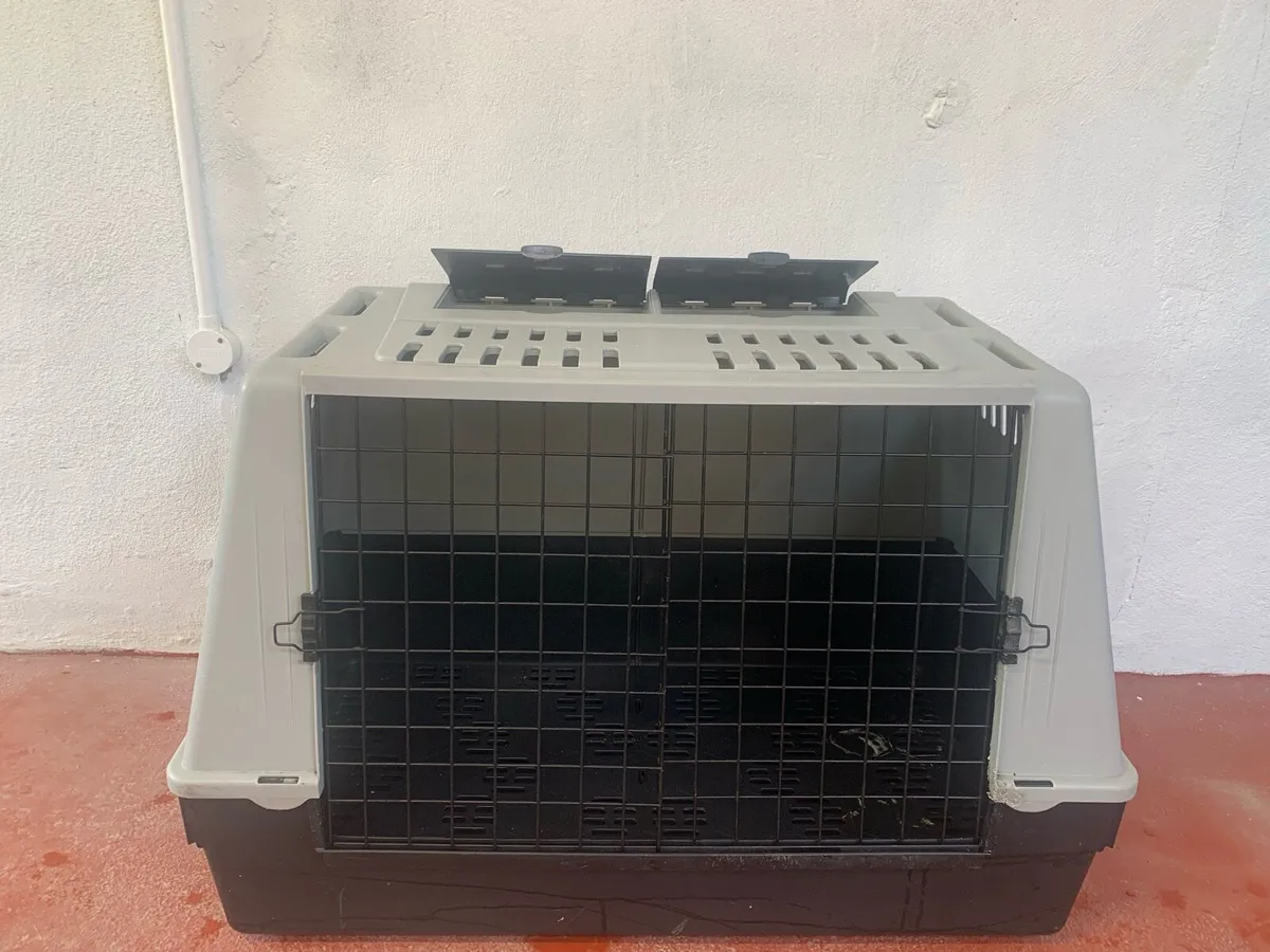 Dog Crate - Image 1