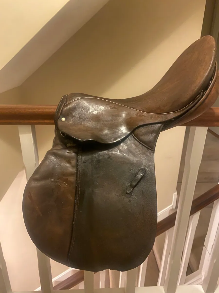 Affordable jumping saddle 17inch-Gidden London - Image 2