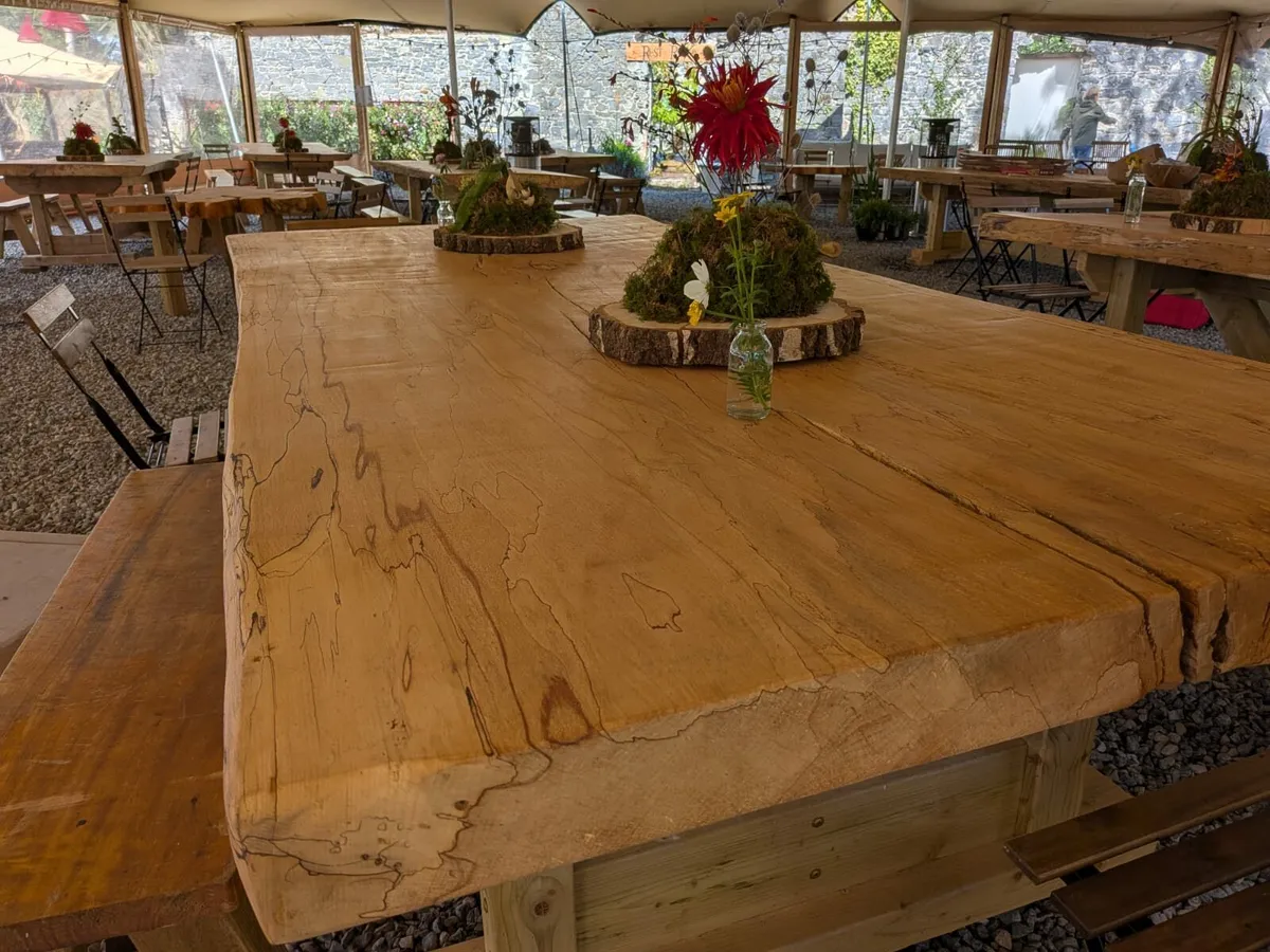 Live Edge Tables - Image 4