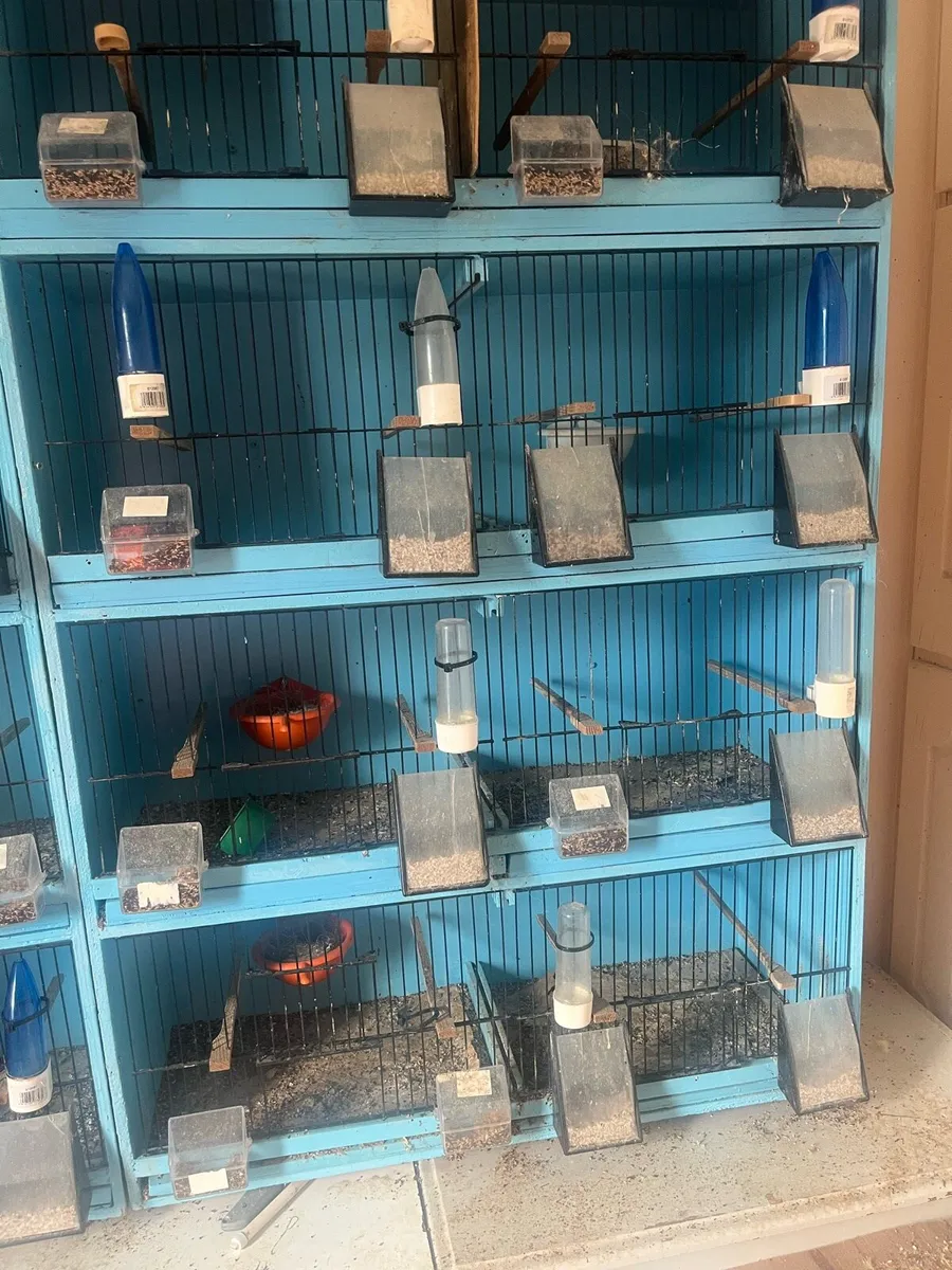 Cages - Image 2