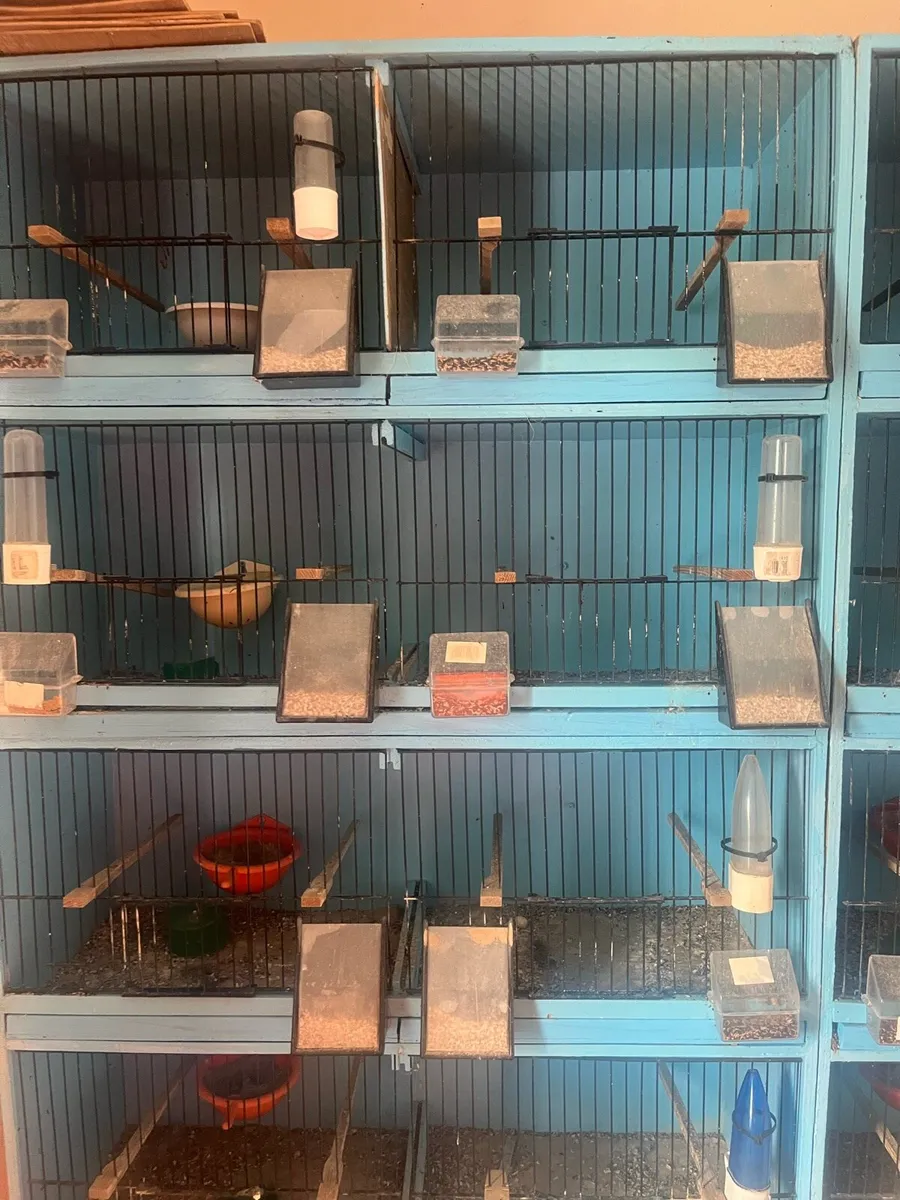 Cages - Image 4