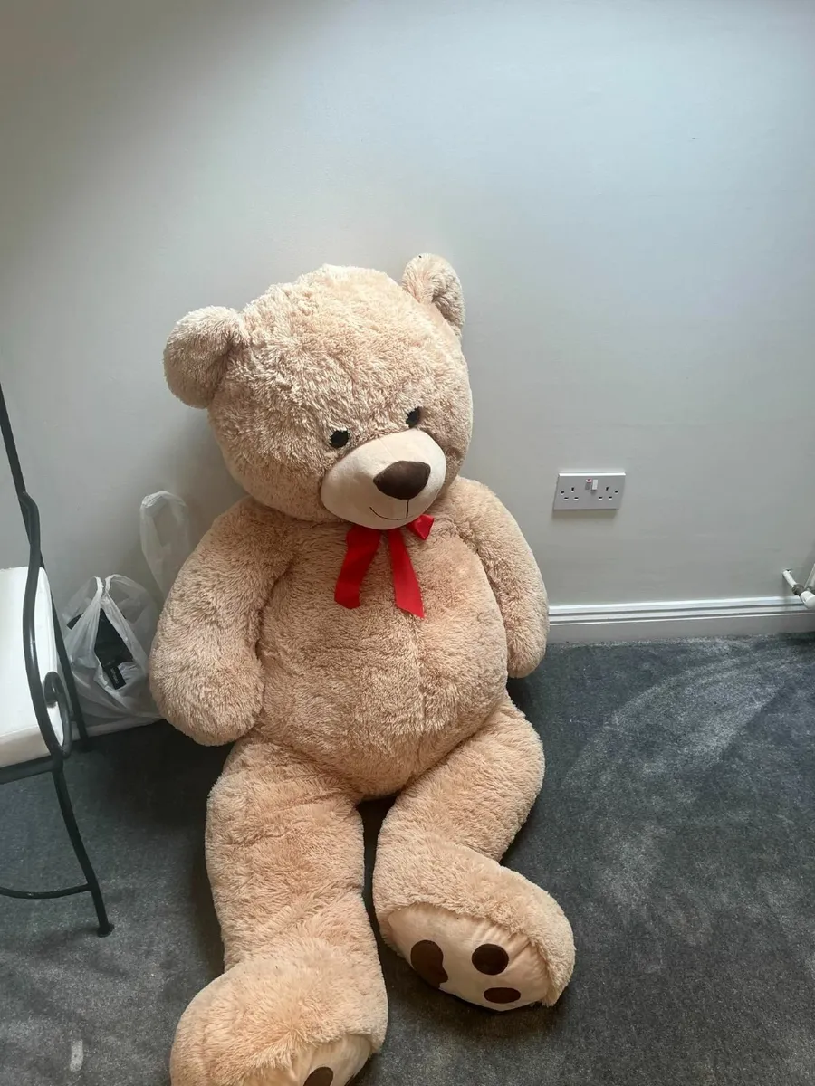 Large Teddy - Image 1