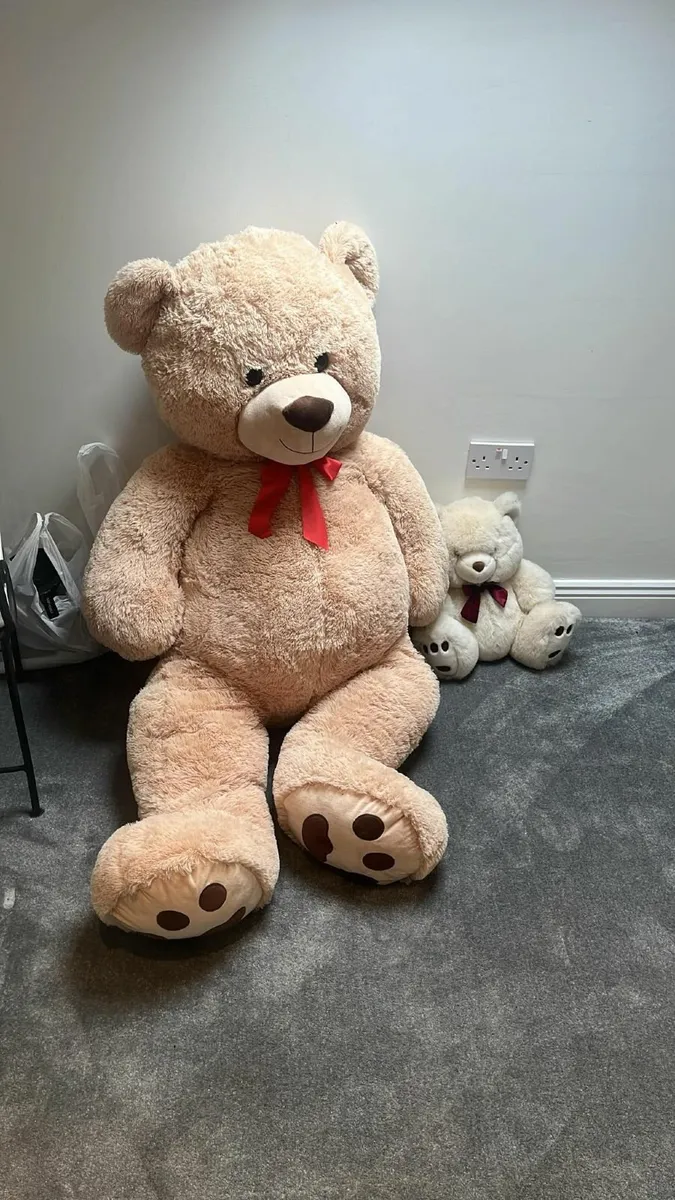 Large Teddy - Image 2