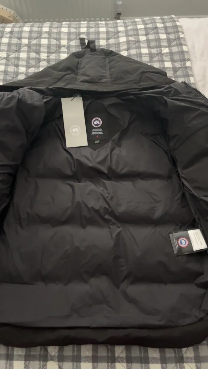 Canada goose - Image 2