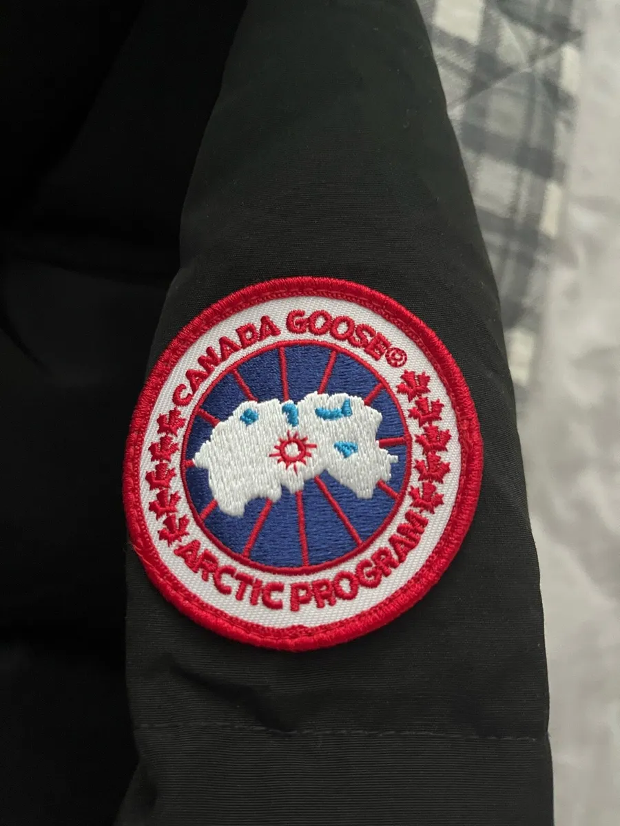Canada goose - Image 3