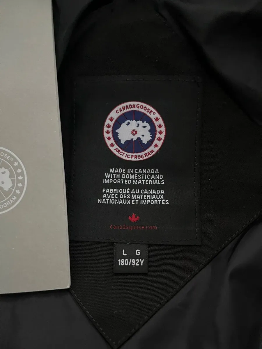 Canada goose - Image 4
