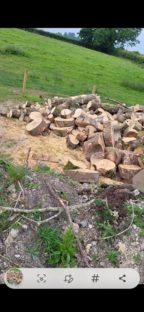Timber/trees wanted