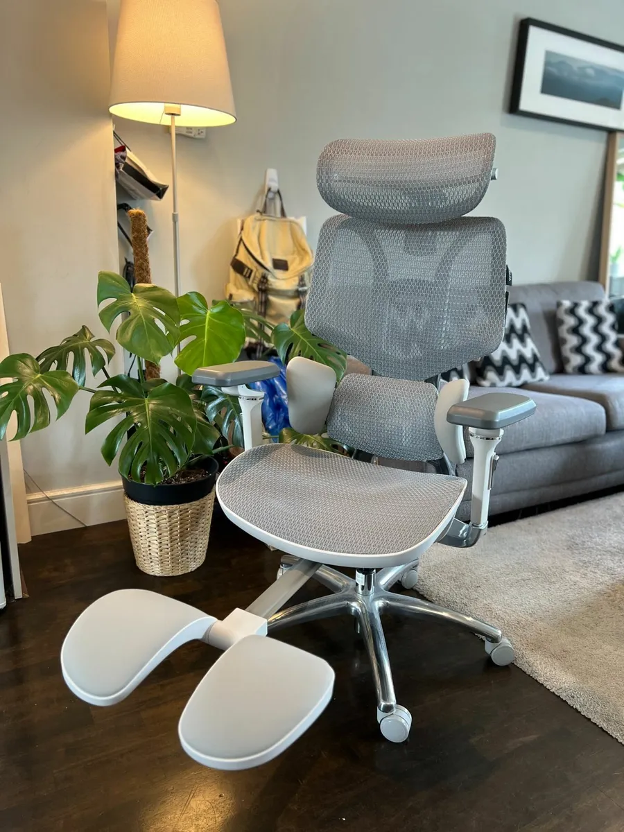 HBADA E3 Ultra Ergonomic Office Chair - Image 1