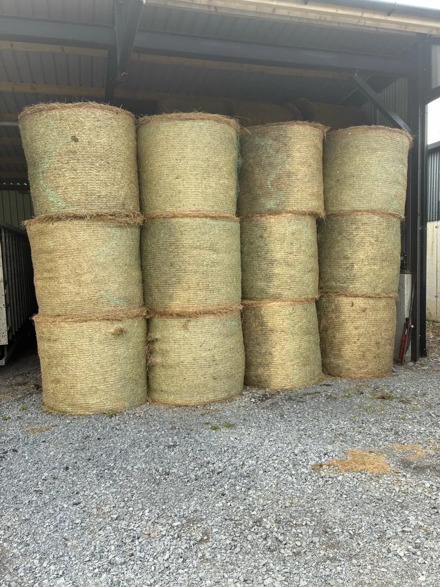 Hay - Image 1