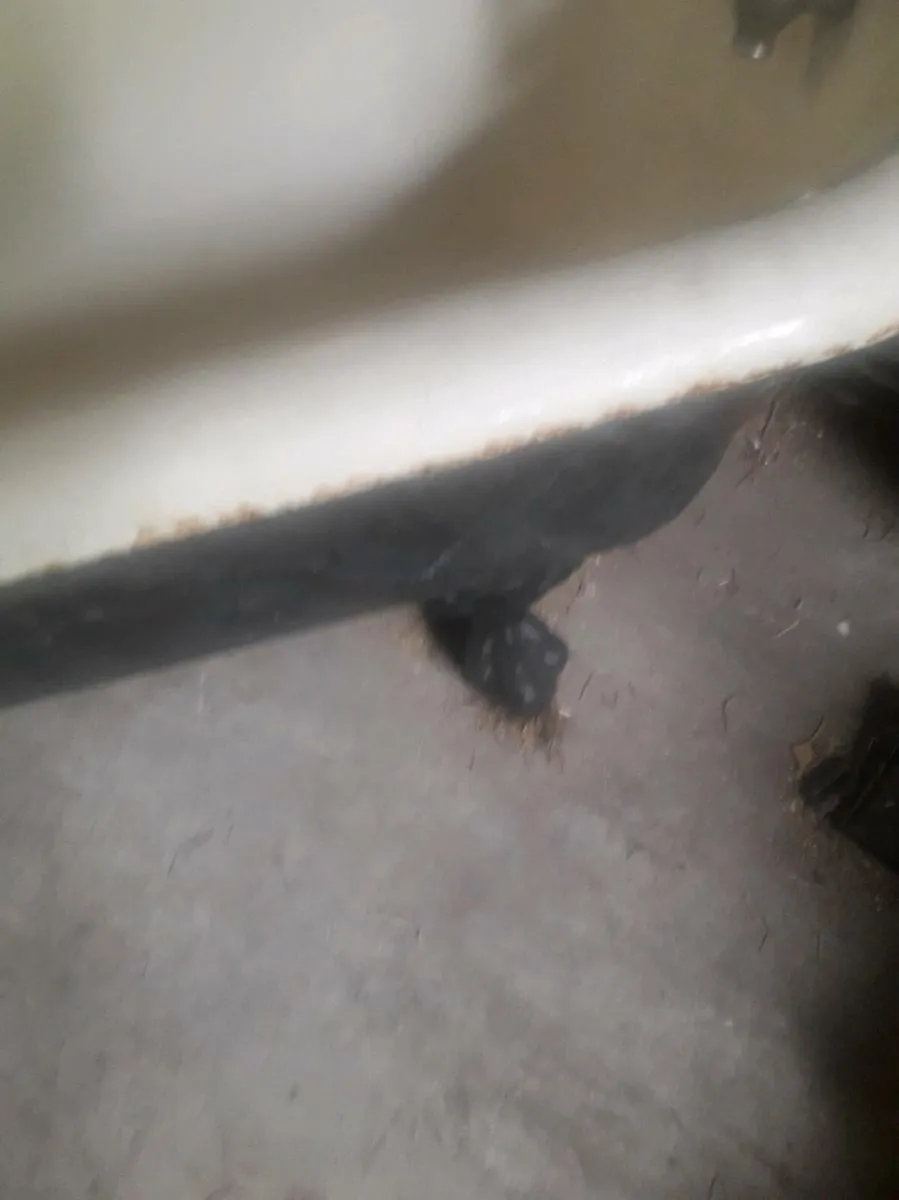 Cast iron bath - Image 2