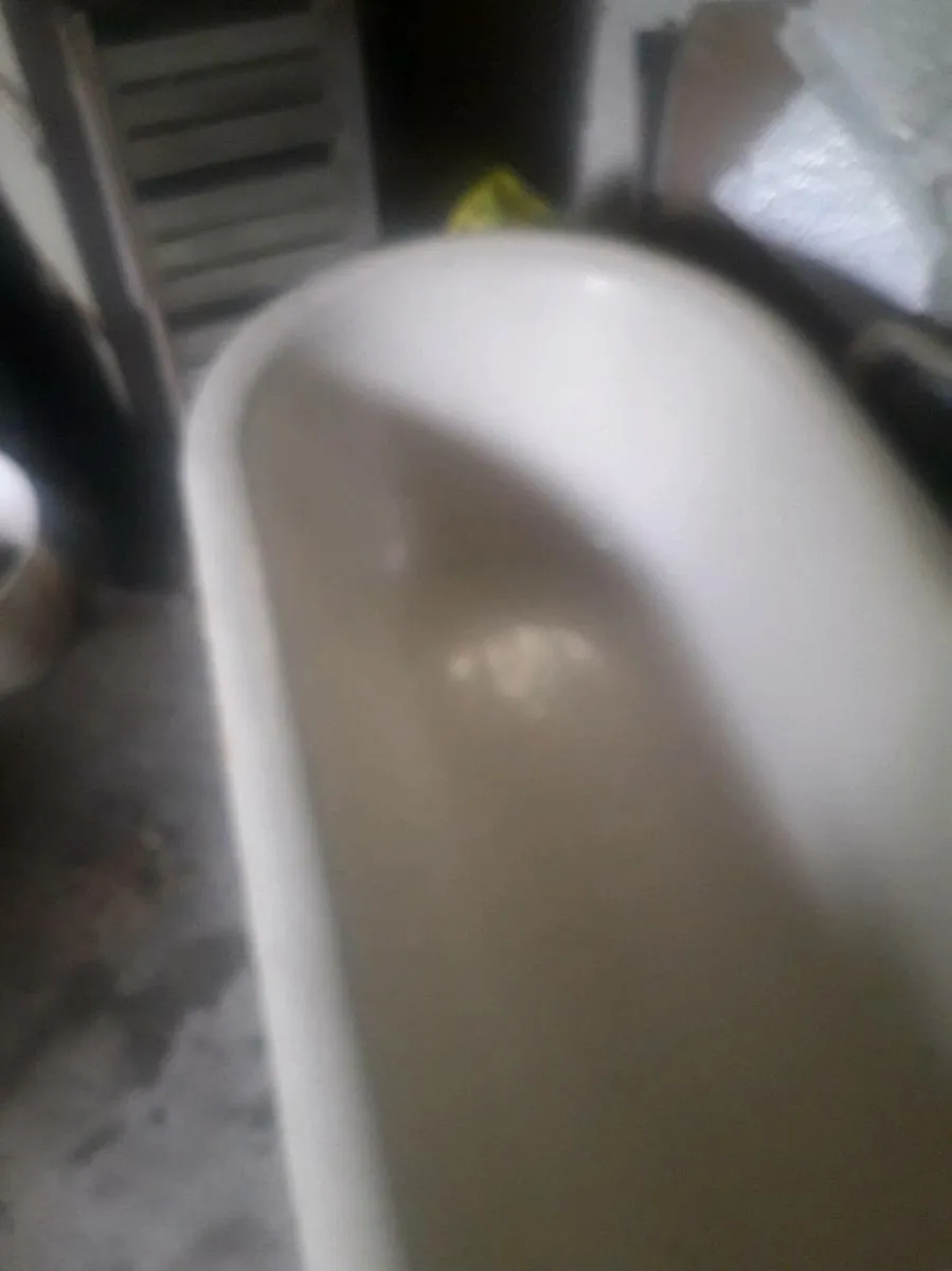 Cast iron bath - Image 3