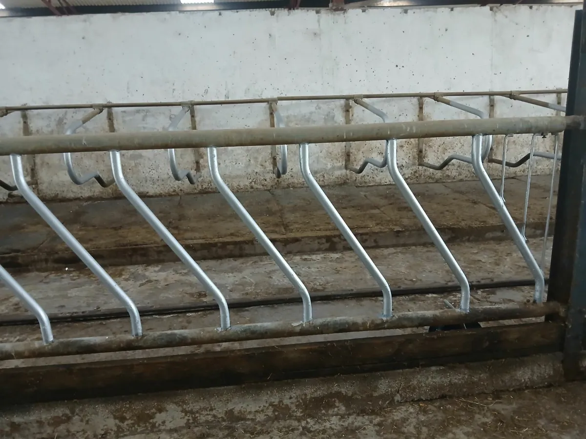 Cattle barrier
