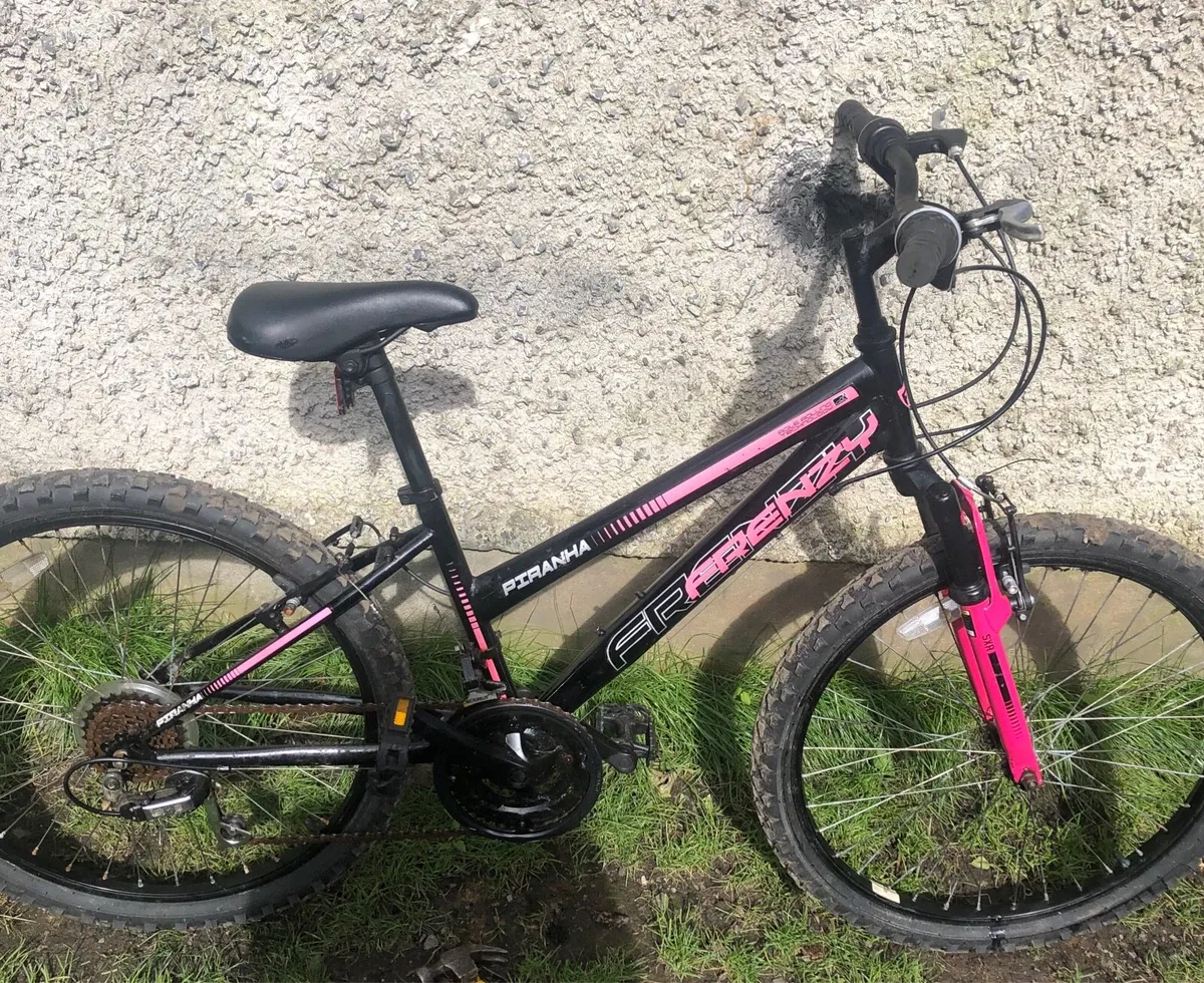 Girls Piranha frenzy bike