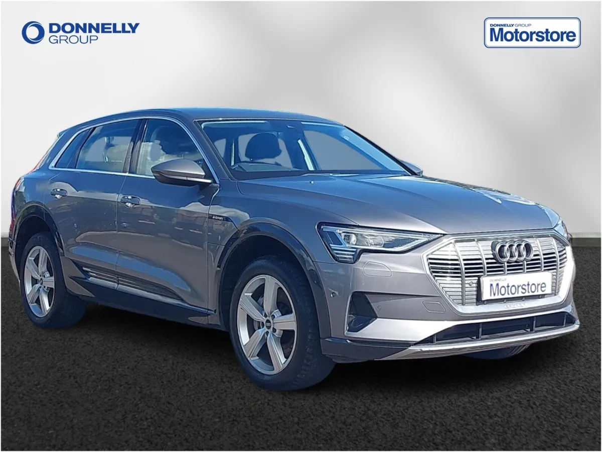 Audi E-tron Estate Technik - Image 1
