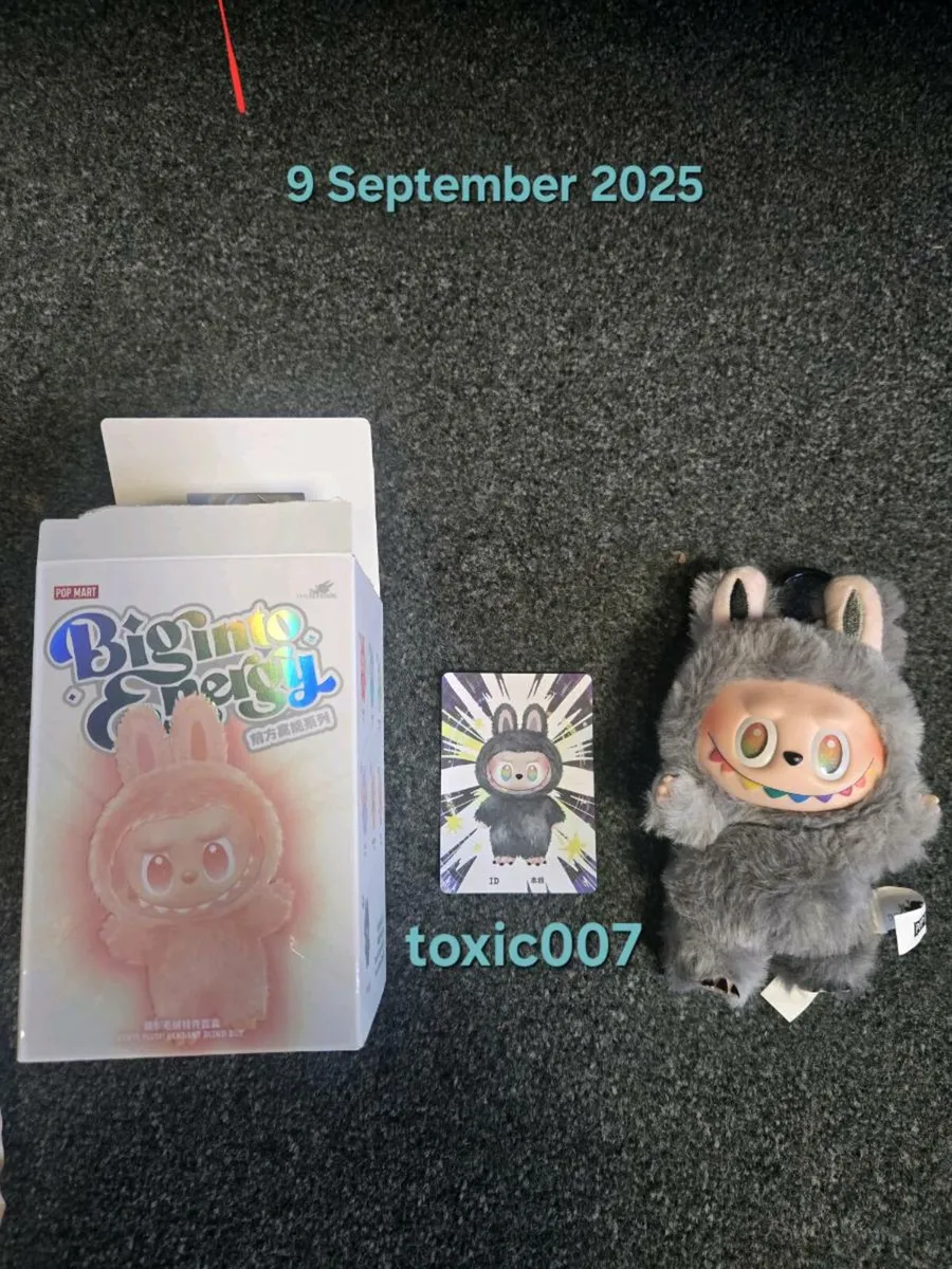 Labubu Secret ID Character Popmart - Image 2