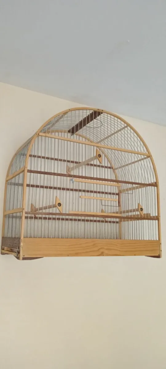 Cage canary - Image 2