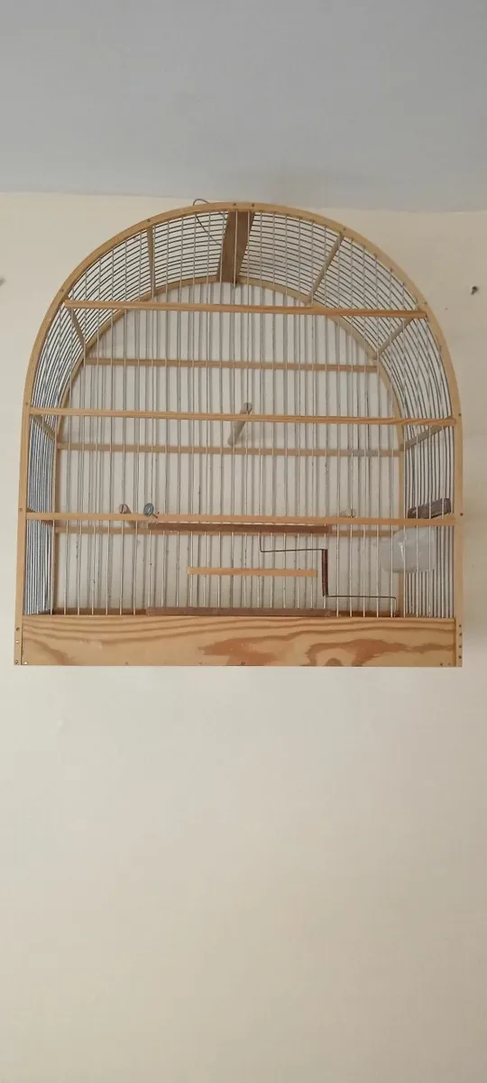 Cage canary - Image 4