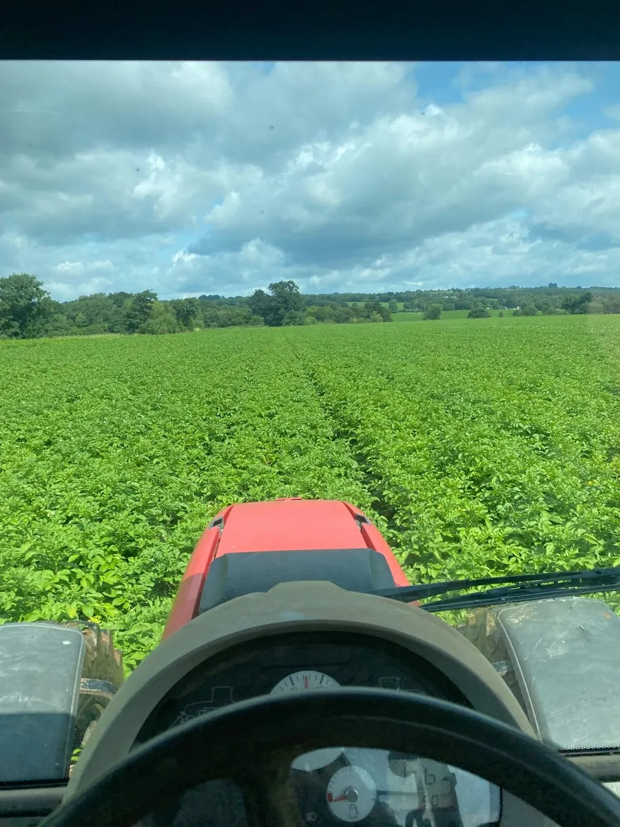 Tillage land wanted for lease or rent - Image 2