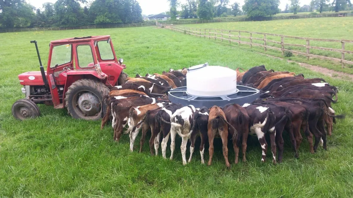 Skilled Herd Manager Required - Image 3