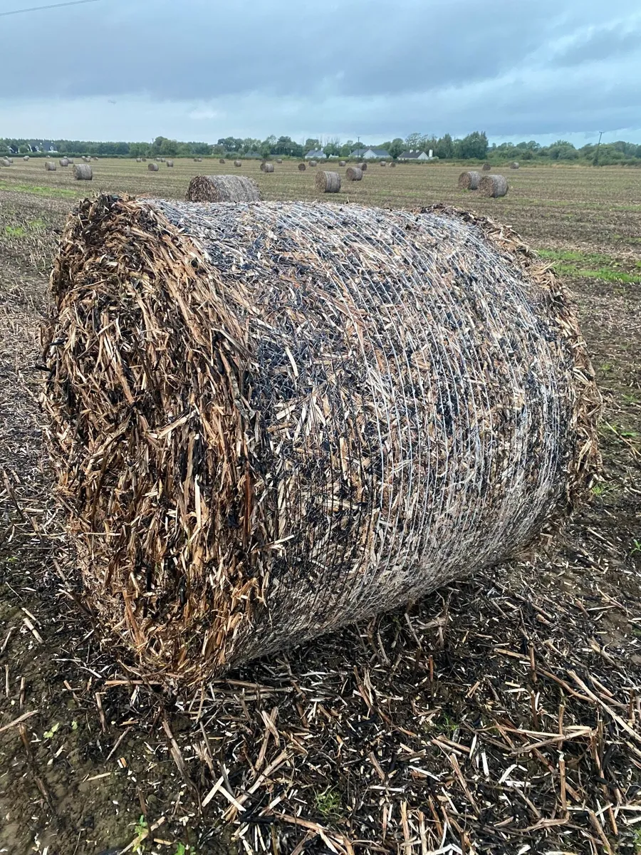 Bean straw 4x4 - Image 1