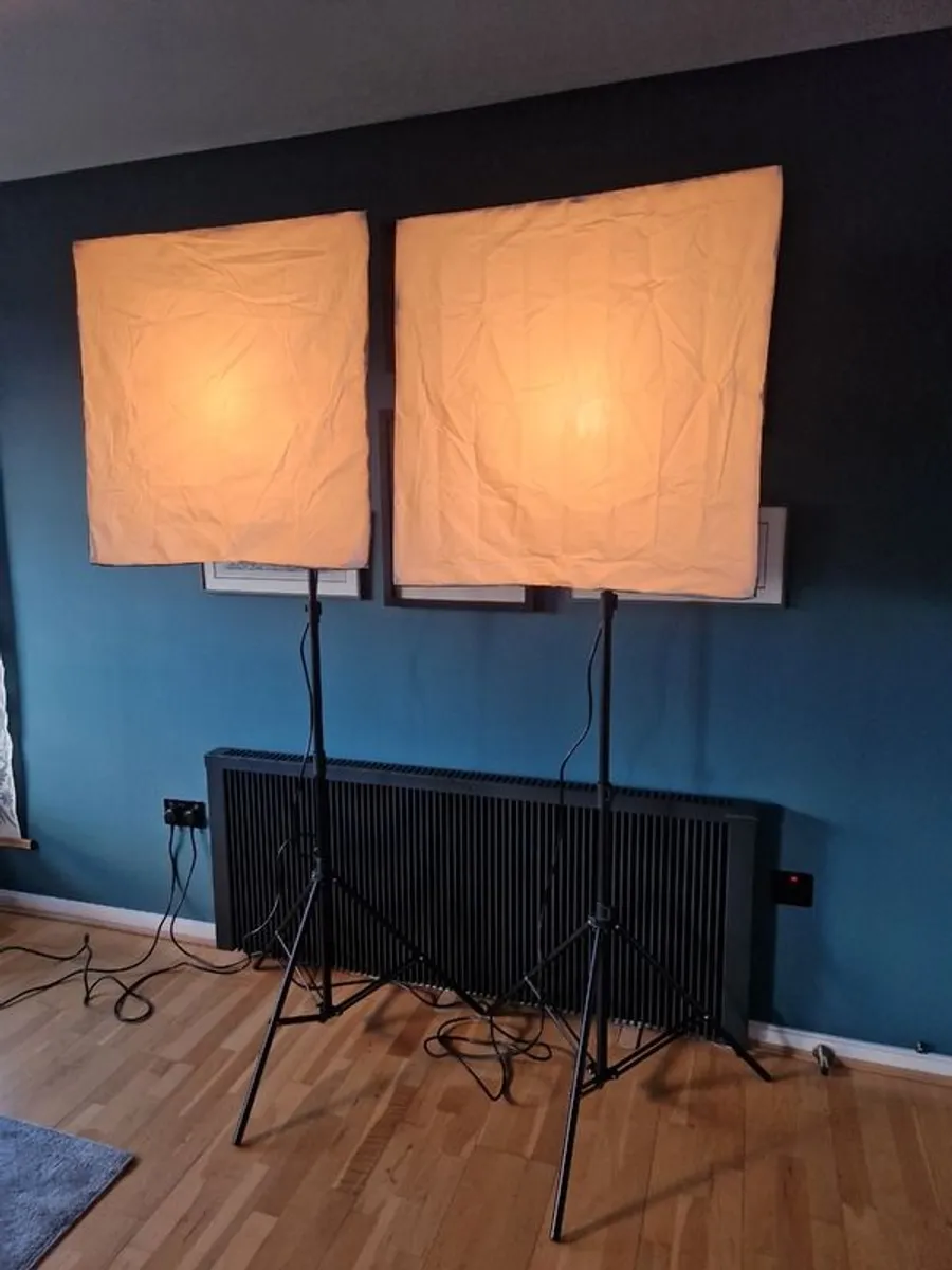 Elinchrom D-Lite RX 4 Softbox Set - Image 2