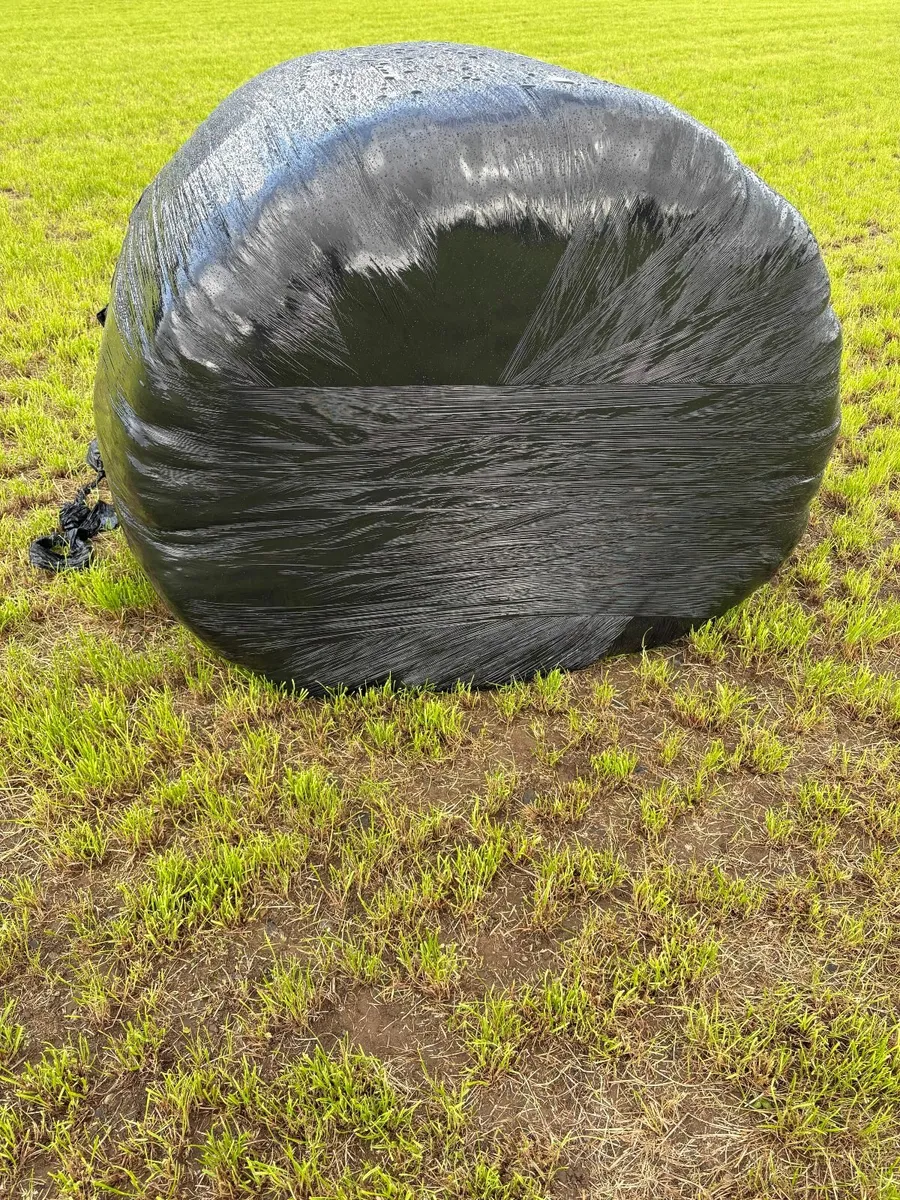 For sale 23 round silage bales