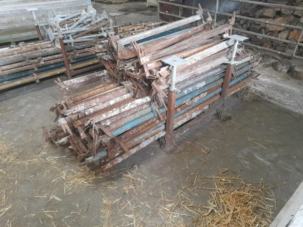 Scaffolding - Image 3