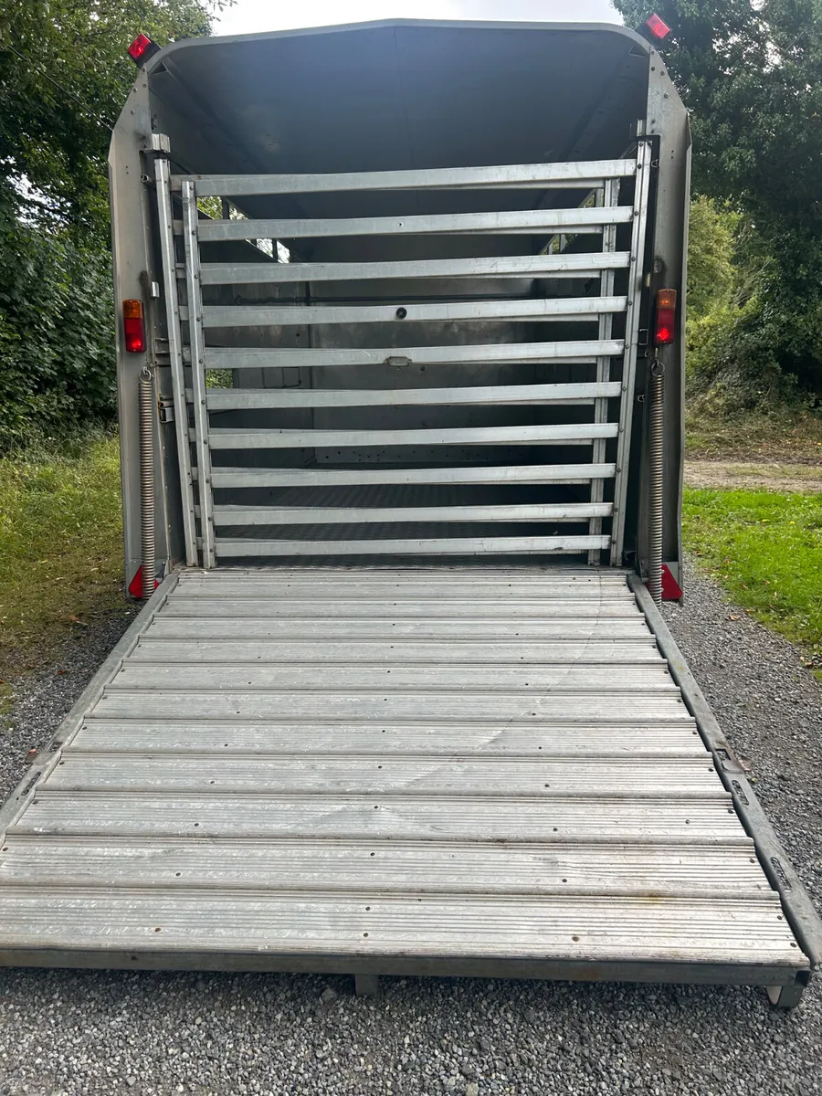 Ifor Williams 12ft Ta510 Livestock Trailer - Image 4