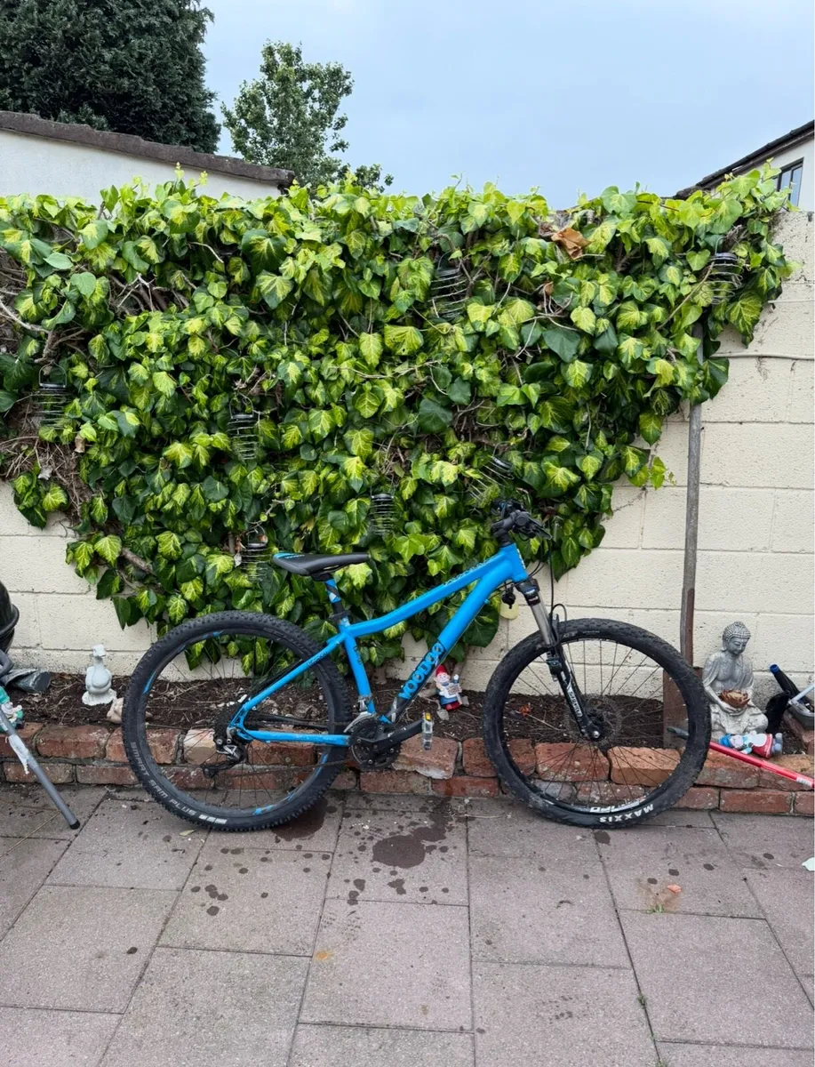 Voodoo Mountain Bike - Image 1