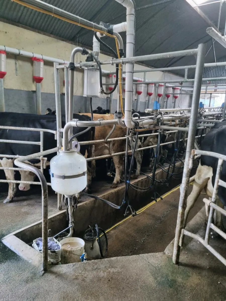 Milking patlour - Image 1