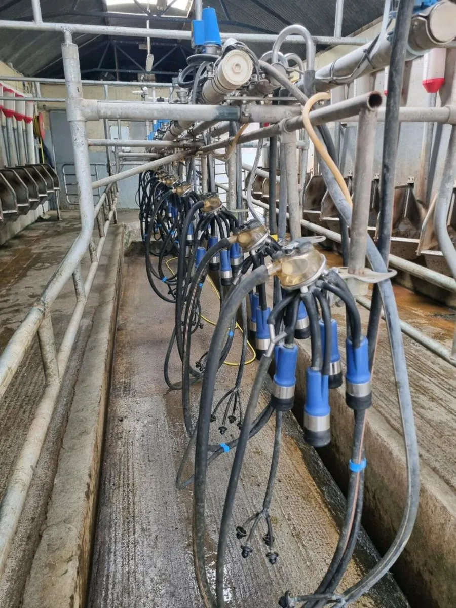 Milking patlour - Image 2