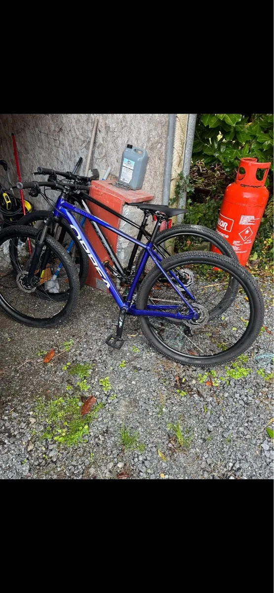 Bikes - Image 1