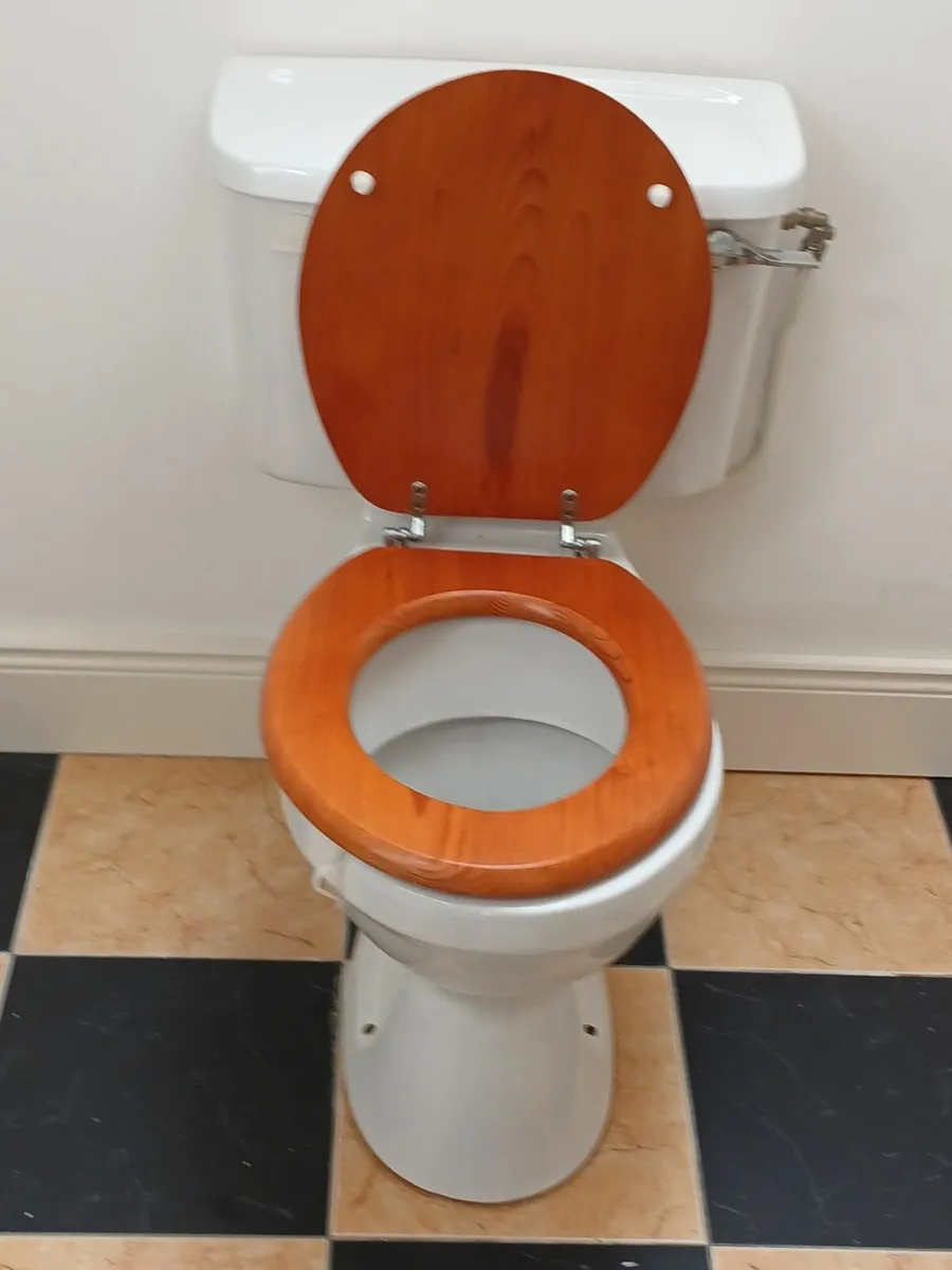 Two bathroom toilets - Image 1
